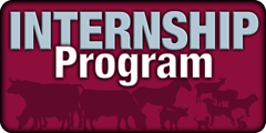 AVC Internship Program
